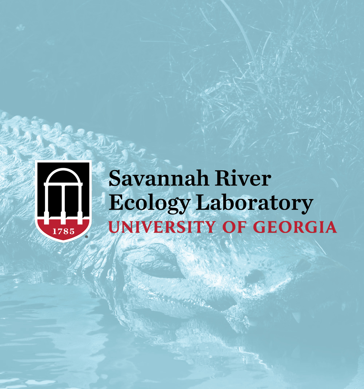 Savannah River Ecology Laboratory